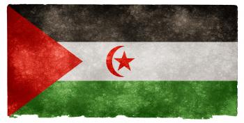 Western Sahara Grunge Flag