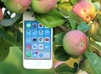 White Iphone 4 Hanging on Branch