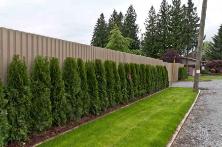 Fence with plants