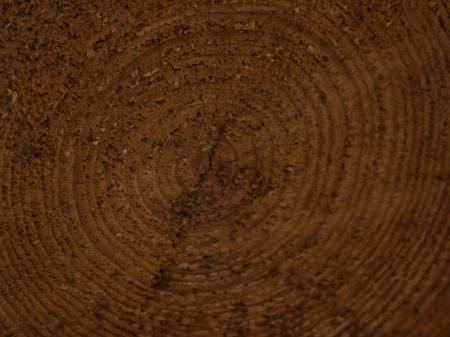 Wood Texture