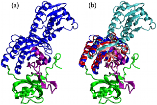 Figure 4