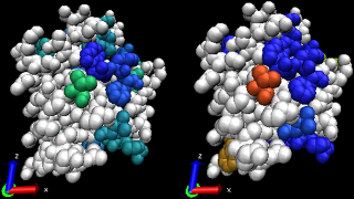 Figure 15