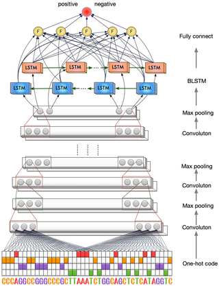 Fig 7