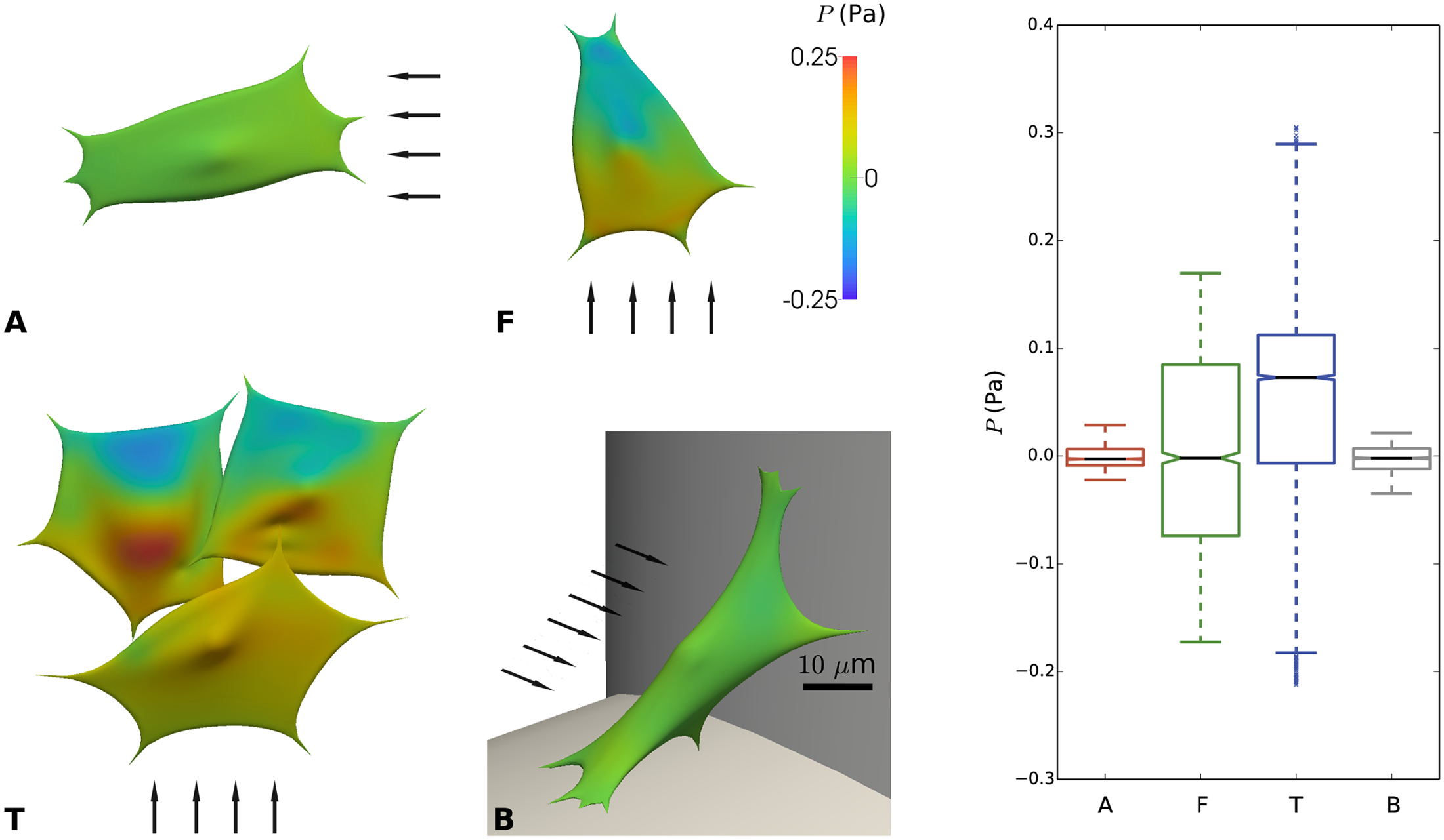 Fig 8