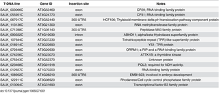 Table 1