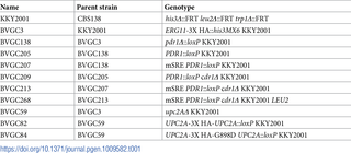 Table 1