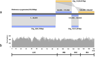 Fig 1