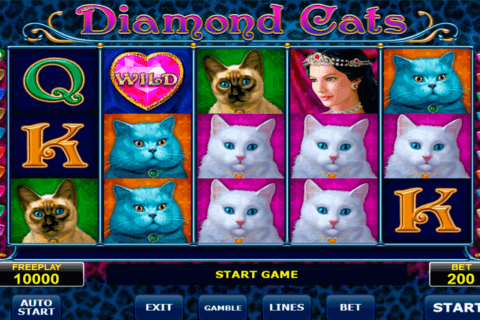 diamond cats amatic 