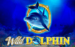 logo wild dolphin gameart 