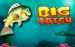 logo big catch novomatic 