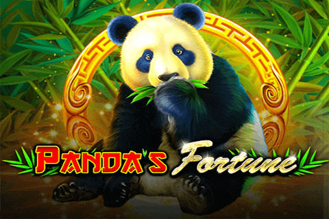 logo pandas fortune pragmatic 