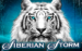 logo siberian storm igt 