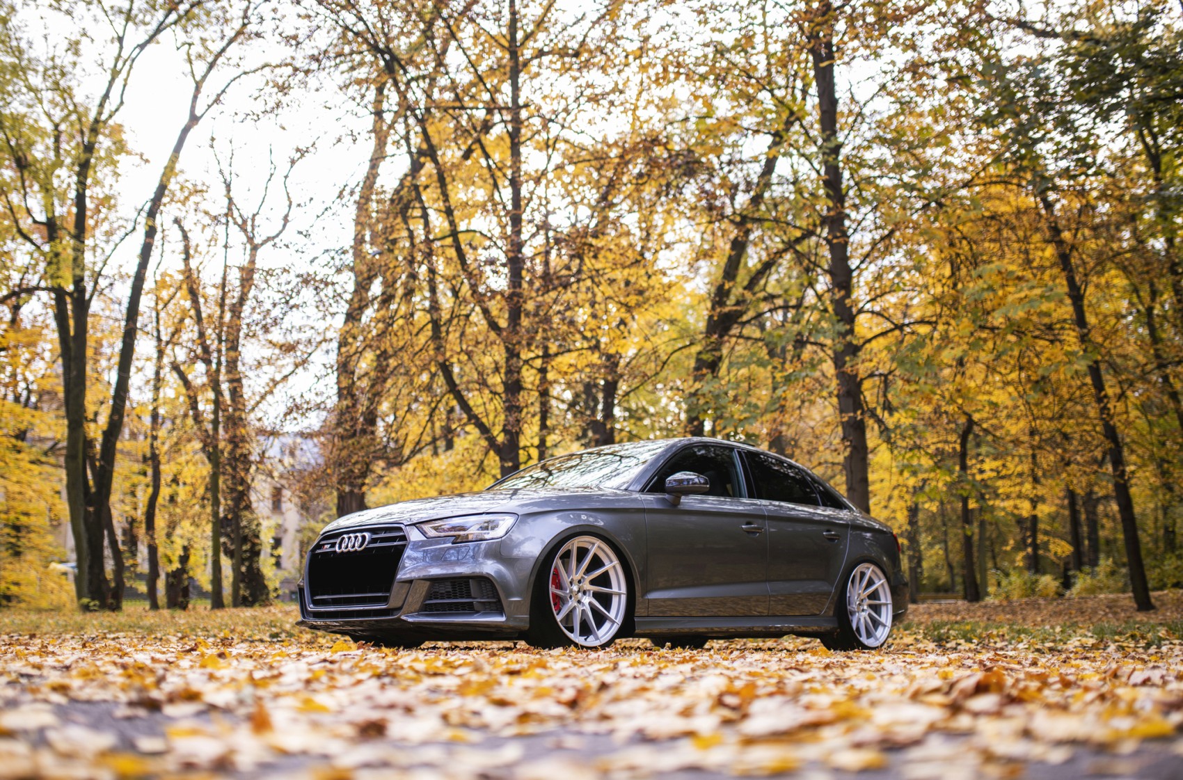 Audi gallery