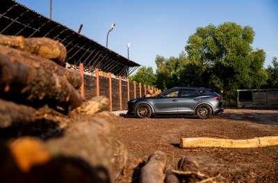 Cupra Platinum Bronze