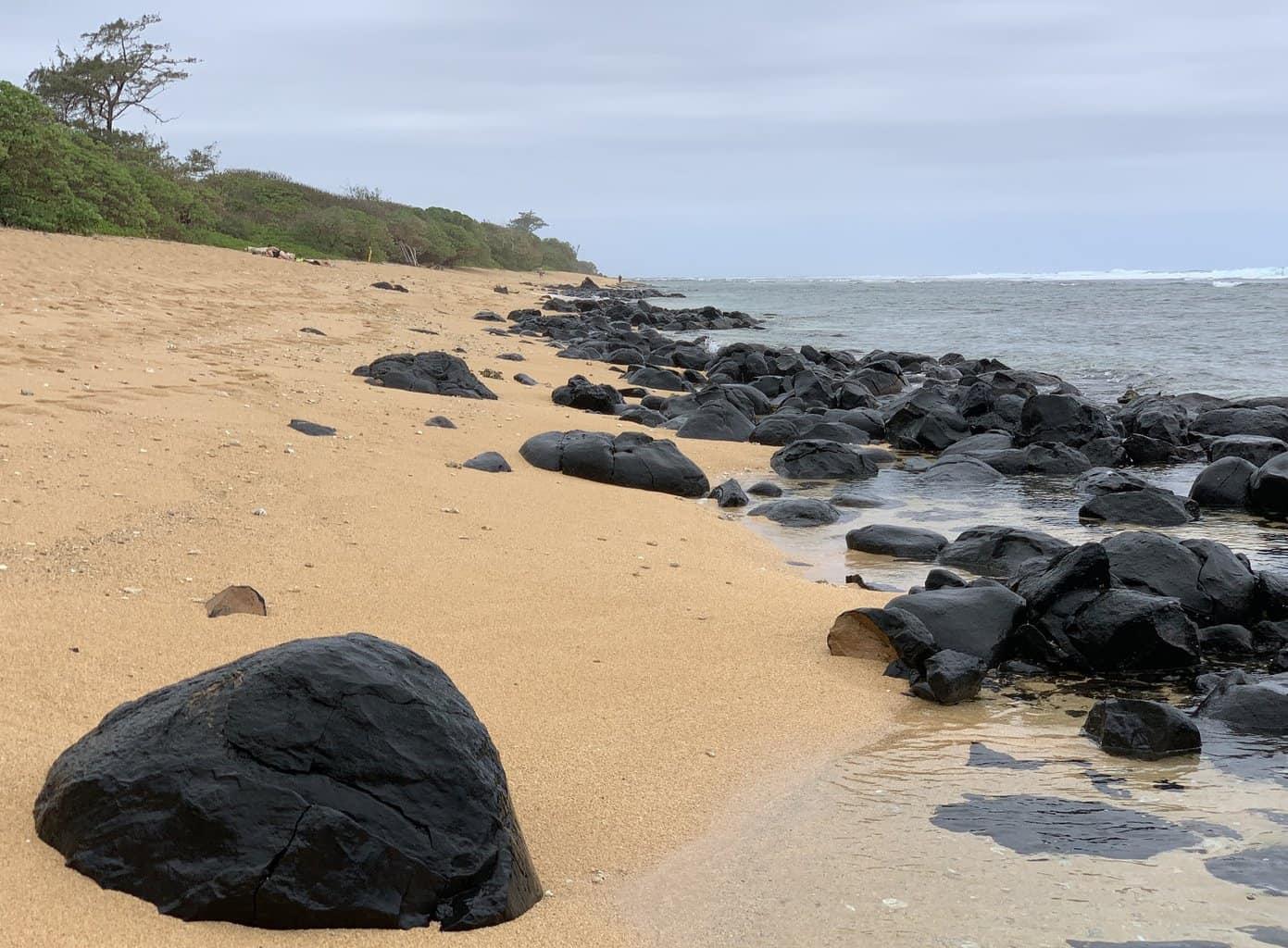 Larsen’s Beach