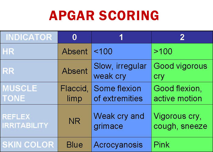 Apgar Score Interpretation