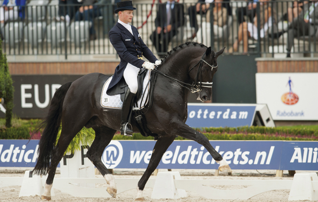 Totilas withdrawn from European Dressage Championships