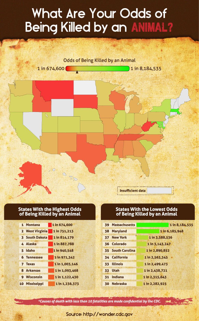 Measuring the Odds, State by State