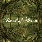 Album artwork for The Great Salt Lake by Band of Horses