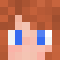 minecraft character face.