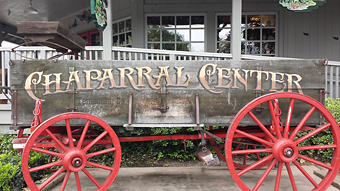 Decorative Font - LHF Antique Shop - Chaparral Center