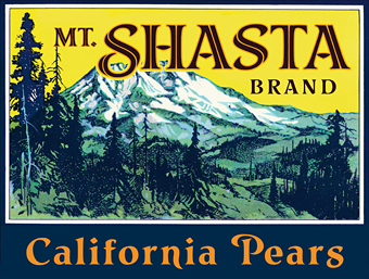 Mount Shasta Pears image using LHF Prentice Font