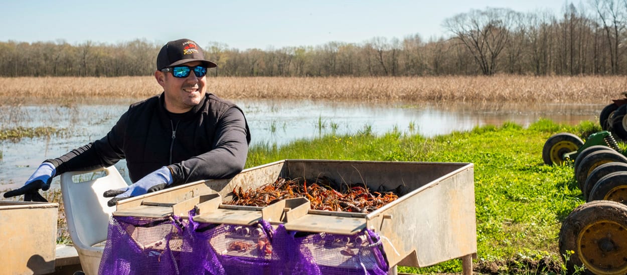 Louisiana Crawfish Company