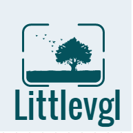 Littlevgl