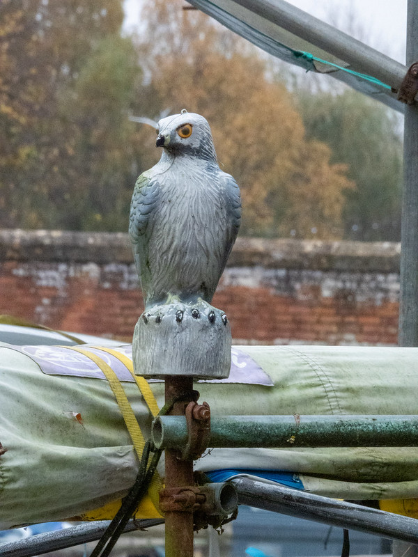 "Birds" of Stratford on Avon