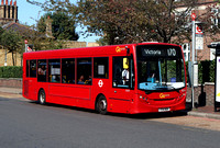 Route 170: Roehampton, Danebury Avenue - Victoria