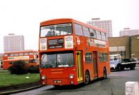 Route 139, London Transport, DMS306, JGF306K