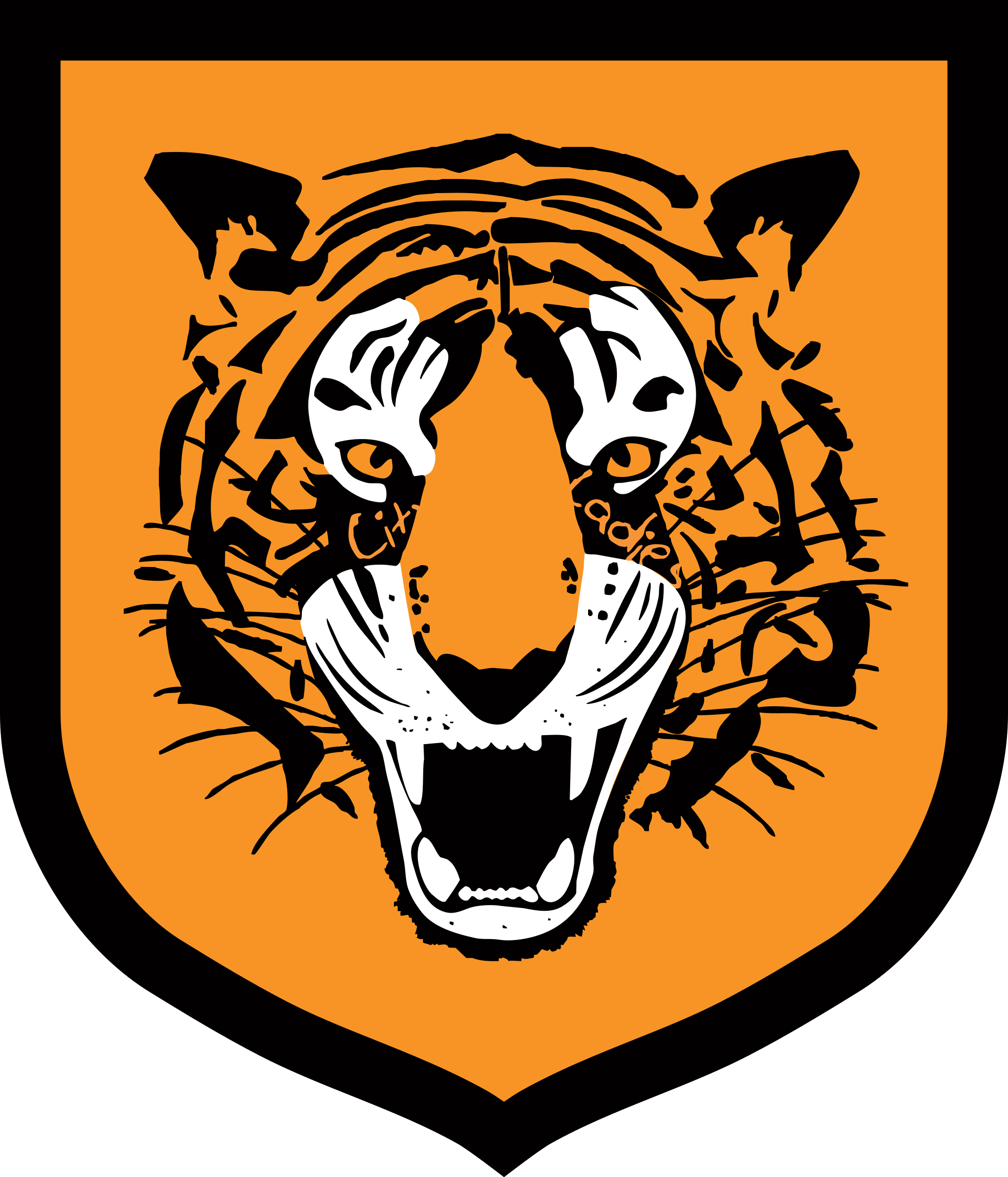 Hull Logo - Hull City Ladies – Football Club