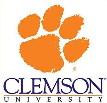 Clemson University Logo - Amazon.com: Clemson University Logo ~ Edible Image Cake / Cupcake ...