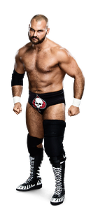 Scott Dawson