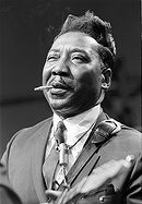 Muddy Waters