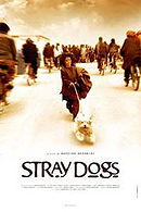 Stray Dogs