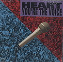 You're The Voice