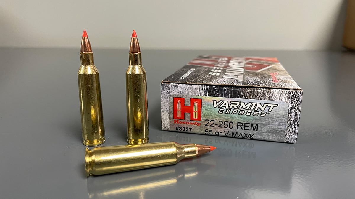 .22-250 Remington