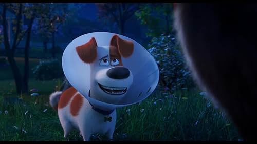 See the final trailer for 'The Secret Life of Pets 2' - in theaters June 7, 2019.