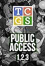 The Chris Gethard Show: Public Access (2011)