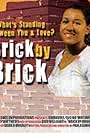 Brick by Brick (2009)