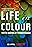 Life in Colour