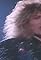 Whitesnake: Give Me All Your Love's primary photo