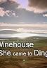 Amy Winehouse: The Day She Came to Dingle (2012) Poster