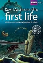 First Life