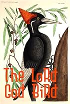 The Lord God Bird