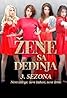 Zene sa Dedinja (TV Series 2011–2015) Poster