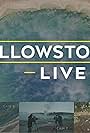 Yellowstone LIVE (2018)