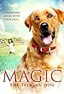 Magic (2010)