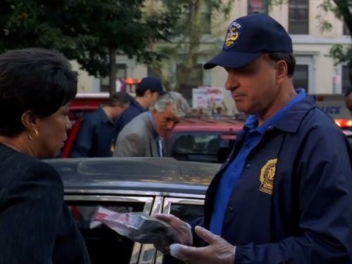 Dennis Farina, S. Epatha Merkerson, and Stewart J. Zully in Law & Order (1990)